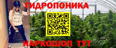 мяу мяу мука Жуковский