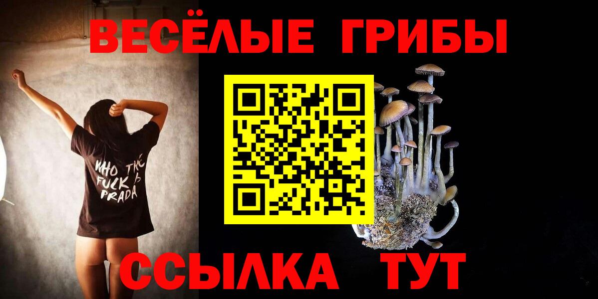 Галлюциногенные грибы GOLDEN TEACHER Тюмень
